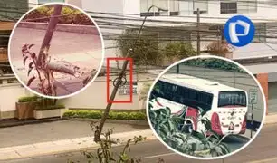 ¡Increíble! bus con pasajeros choca poste y lo deja sostenido solo por maraña de cables