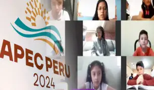 Clases virtuales por el APEC 2024: ¿Aprenderán mejor los escolares en la virtualidad?