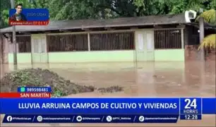 San Martín: Intensivas lluvias causan daños e inundaciones en cultivos y viviendas