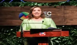 Dina Boluarte invita a economías de APEC a invertir en el Perú: "Ofrecemos estabilidad jurídica y económica"