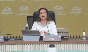 APEC 2024: Presidenta Boluarte señala que crecimiento solo es posible empoderando a la ciudadanía