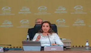 Dina Boluarte destaca la necesidad de mayor colaboración económica y sostenibilidad durante APEC