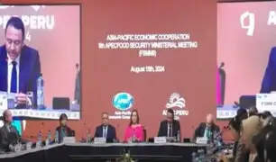 APEC 2024: una vitrina que impulsa el crecimiento y modernización del Perú