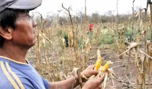 Piura: Gobierno anuncia fondo de S/ 200 millones para ayudar a agricultores afectados por sequía