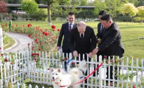 ¡Una leona, cacatúas y osos pardos!: el exótico regalo de Vladimir Putin a Kim Jong-un