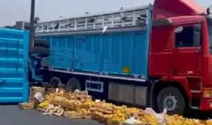 SMP: camión de frutas vuelca en la Panamericana Norte y afecta a dos vehículos