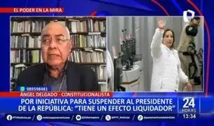 Ángel Delgado critica iniciativa para suspender al presidente por dos años: "Tiene un efecto liquidador"