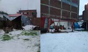 Huancayo: comuneros claman por ayuda tras perder cultivos y animales por fuerte granizada