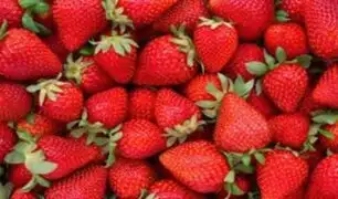 Altos índices de pesticidas en fresas de Lima y Callao generan alerta en consumidores