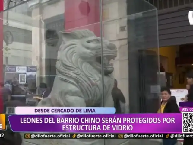 Leones del Barrio Chino serán protegidos con estructuras de vidrio