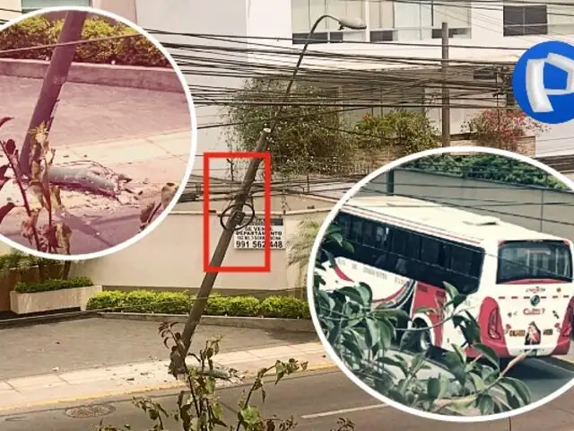 ¡Increíble! bus con pasajeros choca poste y lo deja sostenido solo por maraña de cables