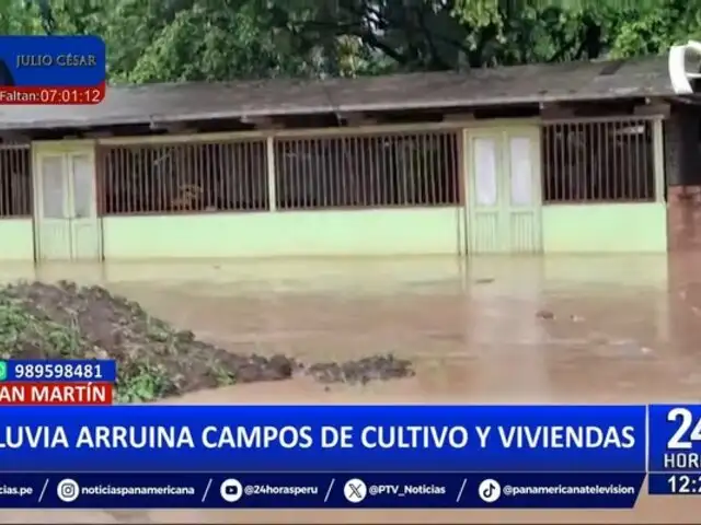 San Martín: Intensivas lluvias causan daños e inundaciones en cultivos y viviendas