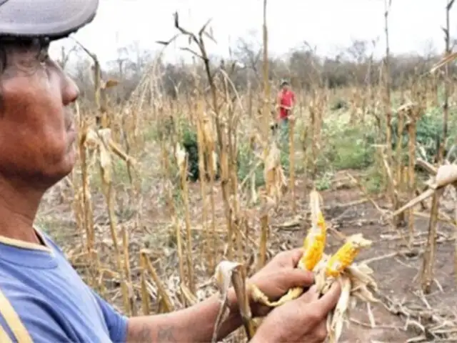 Piura: Gobierno anuncia fondo de S/ 200 millones para ayudar a agricultores afectados por sequía