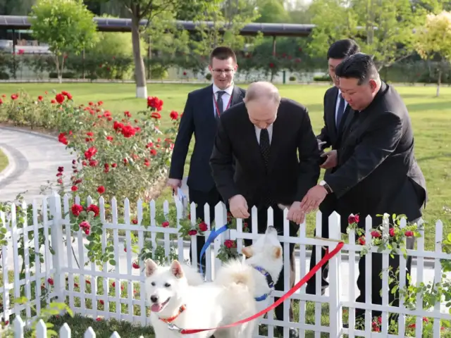 ¡Una leona, cacatúas y osos pardos!: el exótico regalo de Vladimir Putin a Kim Jong-un