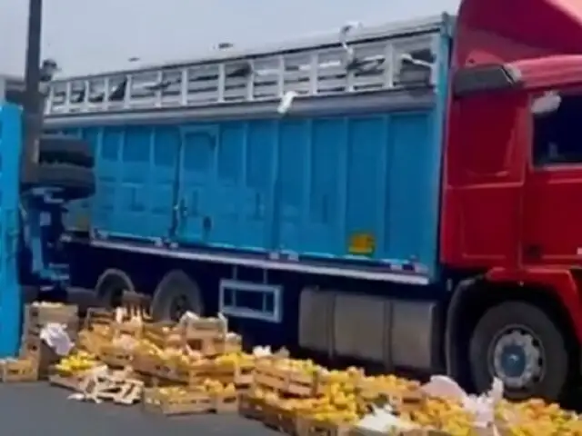 SMP: camión de frutas vuelca en la Panamericana Norte y afecta a dos vehículos