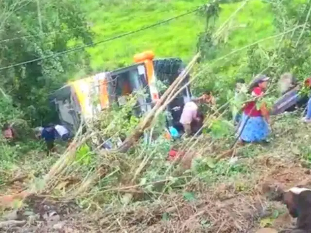 Bus que trasladaba promoción de colegio cae a abismo en Moyobamba: hay varios muertos y heridos