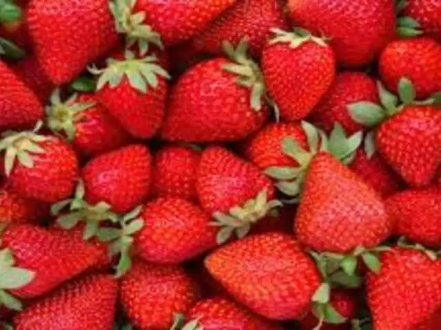 Altos índices de pesticidas en fresas de Lima y Callao generan alerta en consumidores