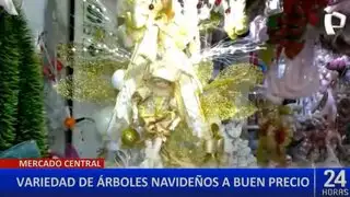 Increíbles ofertas de árboles de navidad en el Mercado Central