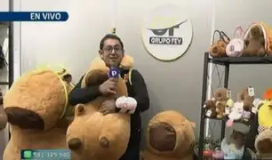 Se dispara la venta de peluches y otros productos de capibara en Mesa Redonda