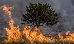 Estados Unidos: incendio forestal provoca miles de evacuaciones en Malibú