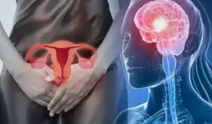 El ciclo menstrual afecta la estructura y funcionamiento del cerebro, según estudio