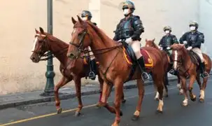 Desaparecen 17 caballos y 28 perros de la Policía Nacional