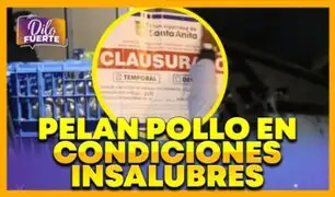 Santa Anita: clausuran avícolas clandestinas donde sacrificaban pollos en condiciones insalubres