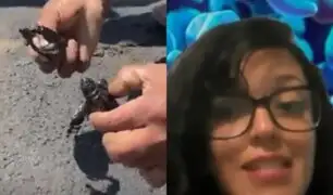 Derrame de petróleo en playa Las Capullanas mata animales y pone en riesgo a la población, según experta