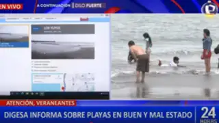 Digesa alerta a veraneantes sobre playas aptas y no aptas para este verano