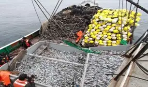 Autorizan inicio de la temporada de pesca de anchoveta en el sur del Perú para el 2025