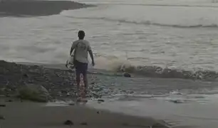 Máncora: pese a peligro de fuertes oleajes tablistas ingresan al mar atraídos por altura de las olas