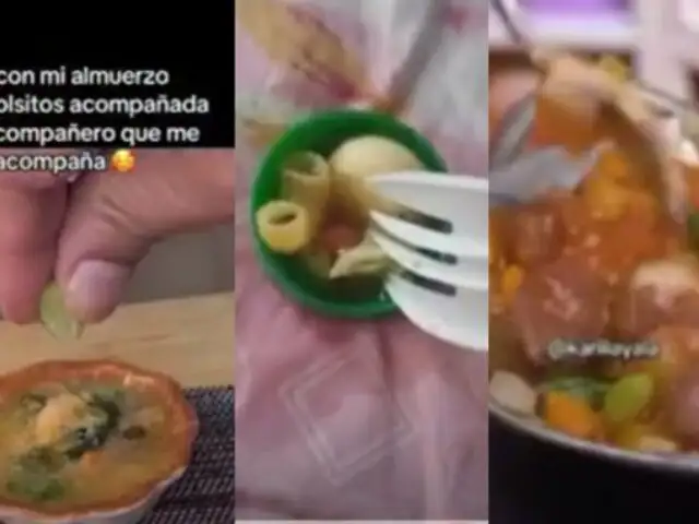 Viral: usuarios utilizan audio del ‘menú de 10 soles de Dina Boluarte’ para presentar comida miniatura