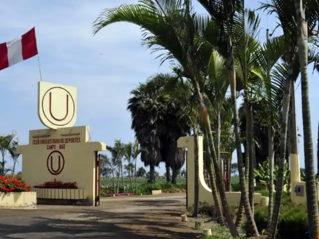 Universitario iniciará construcción de nuevo estadio en Campo Mar