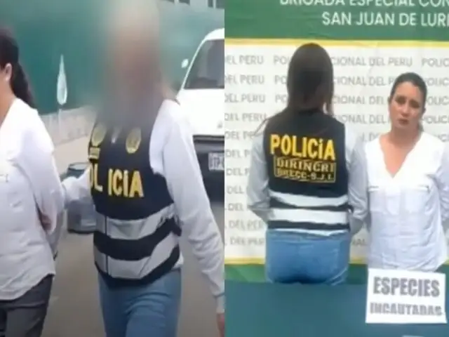 "La Pituca": mujer estafó a minimarket por casi S/100.000 con pagos falsos de Yape y Plin