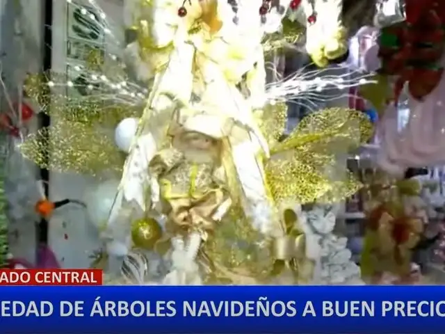 Increíbles ofertas de árboles de navidad en el Mercado Central