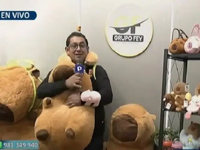 Se dispara la venta de peluches y otros productos de capibara en Mesa Redonda