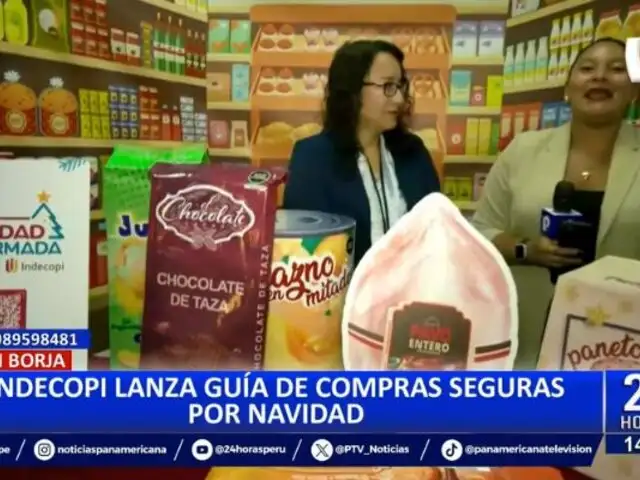 "Navidad informada 2024": Indecopi lanza guía de compras seguras