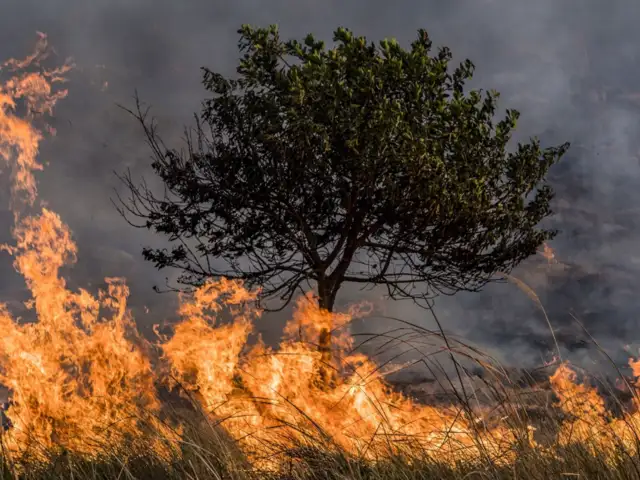 Estados Unidos: incendio forestal provoca miles de evacuaciones en Malibú