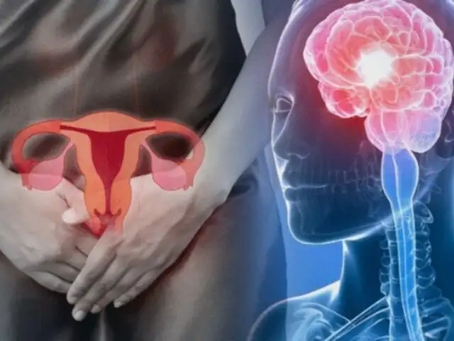 El ciclo menstrual afecta la estructura y funcionamiento del cerebro, según estudio