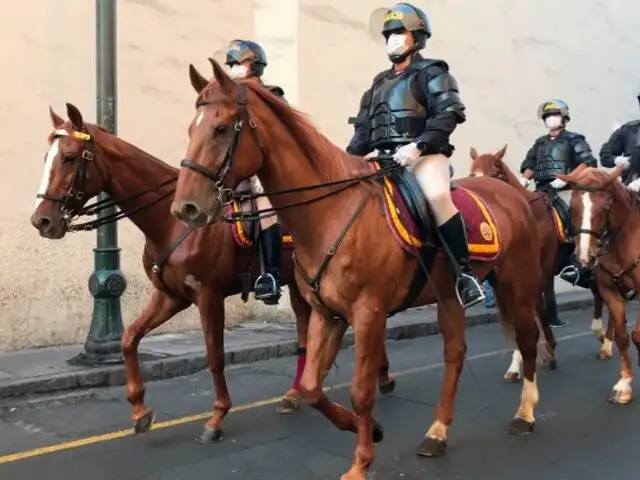 Desaparecen 17 caballos y 28 perros de la Policía Nacional