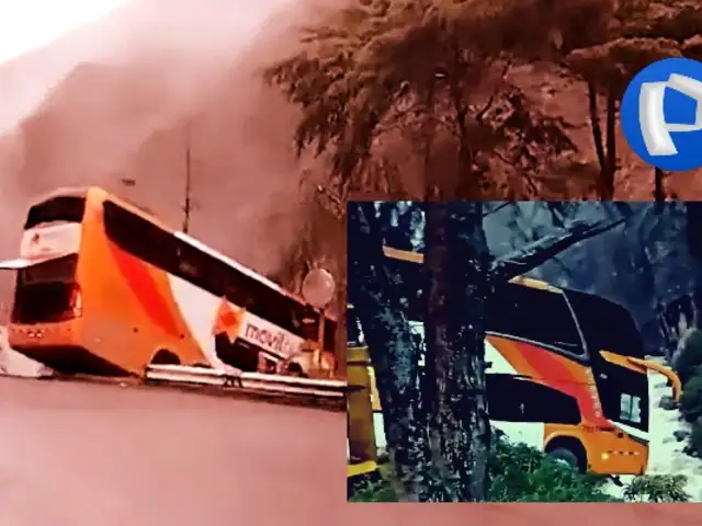 Bus con 50 pasajeros se salva de caer a un abismo gracias a un árbol en Tarma