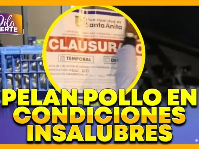 Santa Anita: clausuran avícolas clandestinas donde sacrificaban pollos en condiciones insalubres