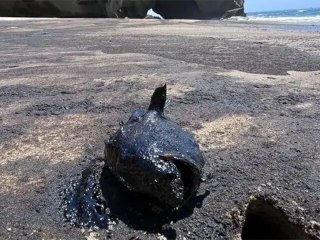 Desastre medioambiental: reportan derrame de petróleo en playas de Piura