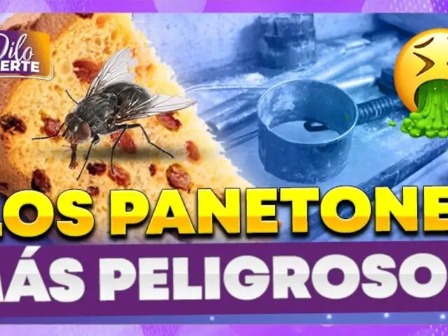 ¡Cuidado! Clausuran panadería por malas prácticas en la elaboración de panetones