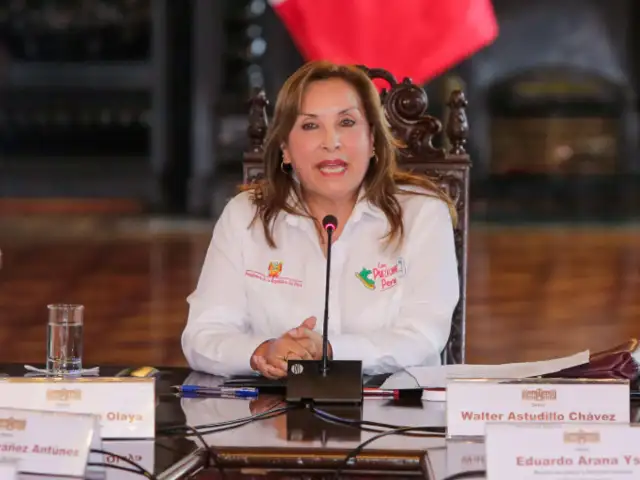 Los escándalos que marcaron al gobierno de Dina Boluarte el 2024: Casos "Rolex" y "Waykis en la Sombra"