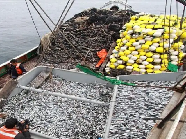 Autorizan inicio de la temporada de pesca de anchoveta en el sur del Perú para el 2025