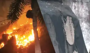 En plena celebración de año nuevo: Incendio destruye geomallas en acantilado de la Costa Verde