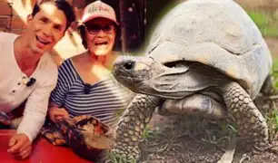 Reconocido chef difunde receta con tortuga Motelo, especie amenazada por la cacería y tráfico ilegal