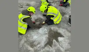 Descubren una increíble 'autopista de dinosaurios' de 166 millones de años en Inglaterra