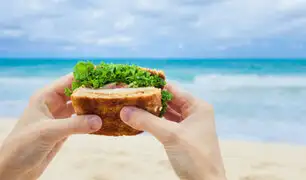 Alimentos para un día de playa: aprende a cuidar tu hidratación y mantener siempre tu energía